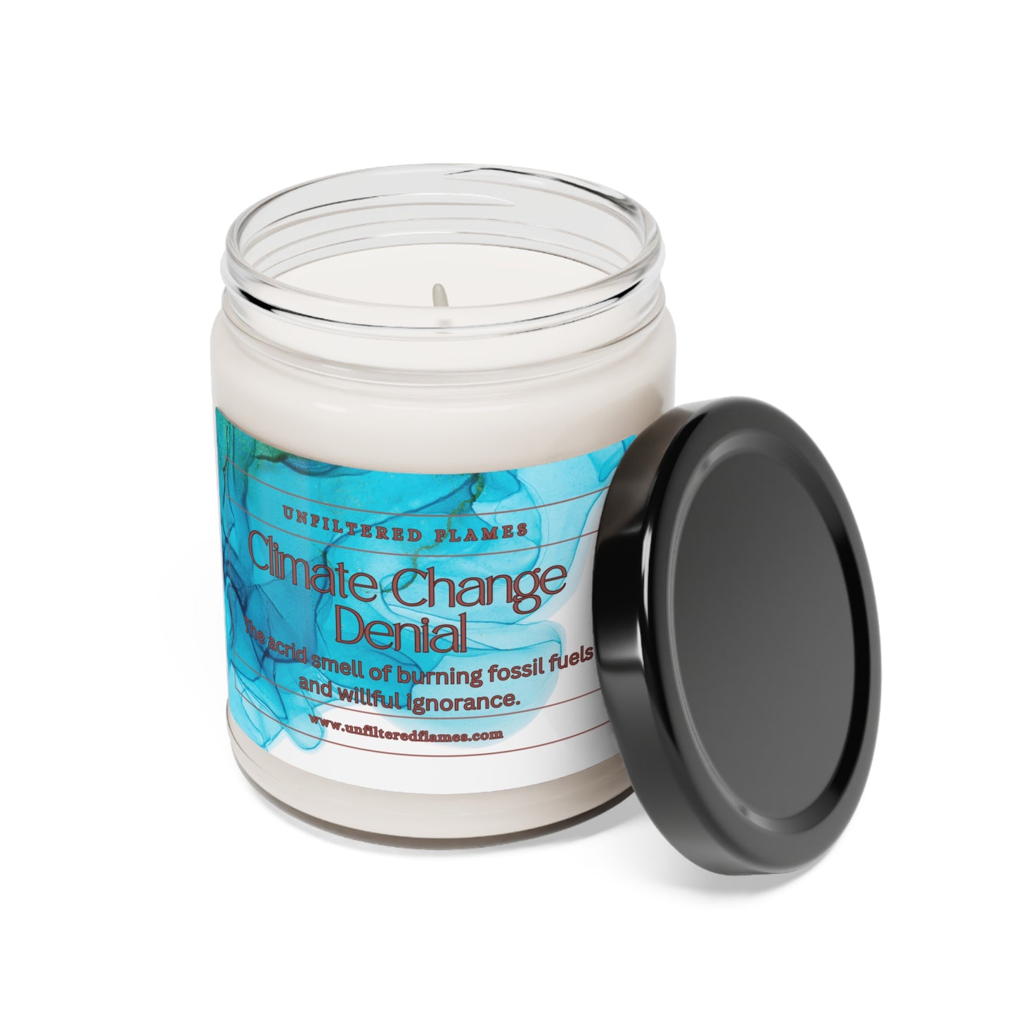 Climate Change Denial Scented Soy Candle, 9oz, Water