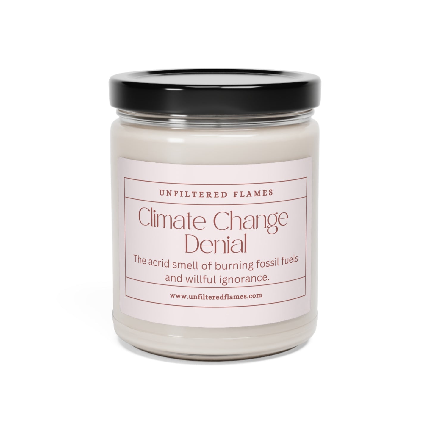 Climate Change Denial Scented Soy Candle, 9oz, Pink